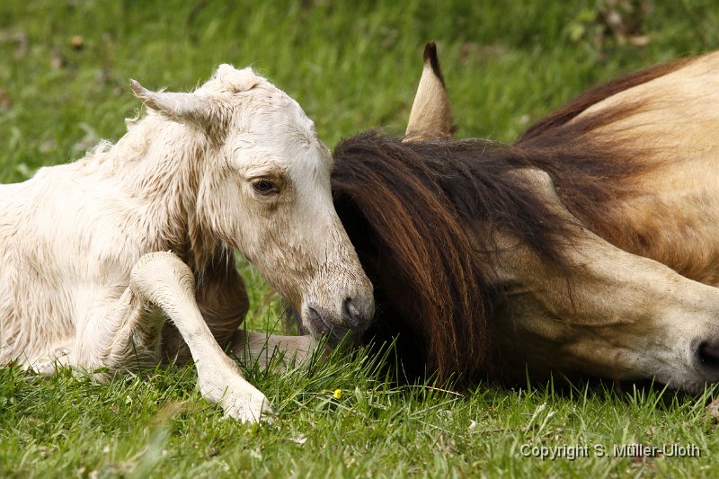 Hjoerdis 20 Min alt (4a).JPG